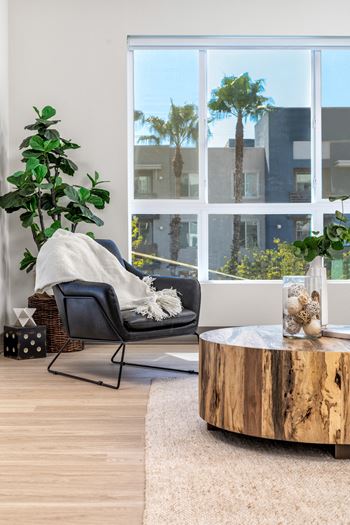 Professionally designed interiors